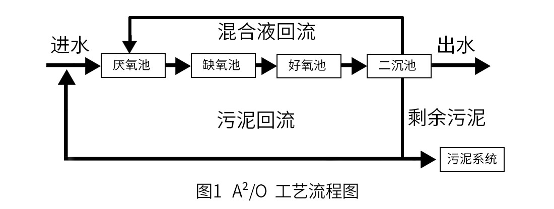 1635471010875655.jpg 1635471010875655.jpg