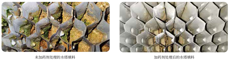 1639799815218047.jpg 巴沃夫產(chǎn)品系列畫冊(cè)2022_01.jpg