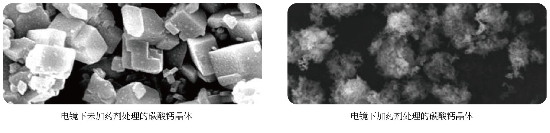 1639806209185520.jpg 1639806209185520.jpg