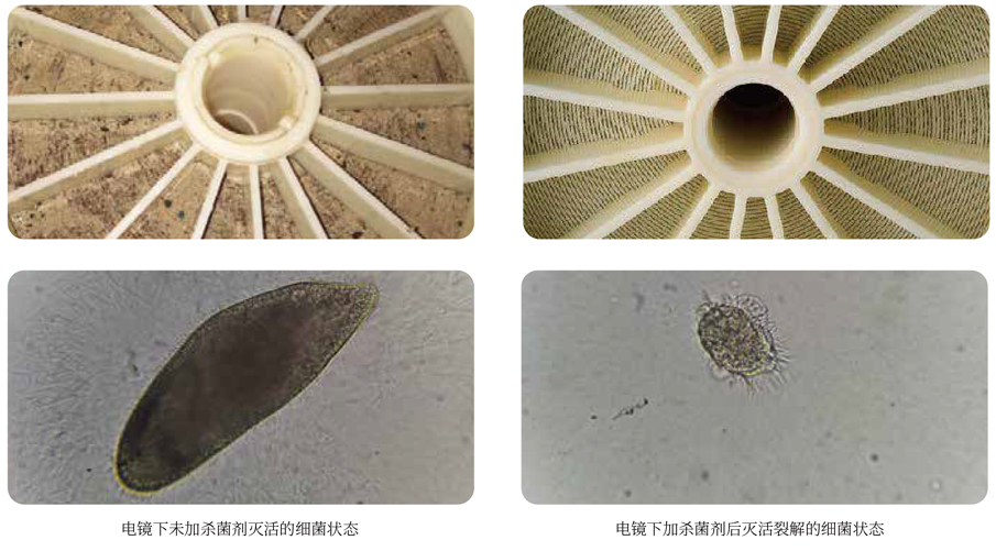 1639807023176512.jpg 巴沃夫產(chǎn)品系列畫冊2022_01.jpg