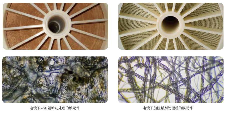 1639807785147869.jpg 巴沃夫產(chǎn)品系列畫(huà)冊(cè)2022_01.jpg