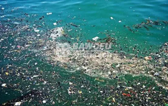 【小小貝殼影響產(chǎn)值】海水冷卻系統(tǒng)中的貝類，怎樣高效100％控制和管理？