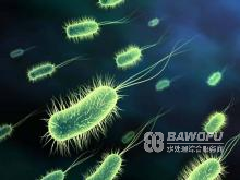 氧化性和非氧化性傻傻分不清，殺菌劑大家族的分類(lèi)