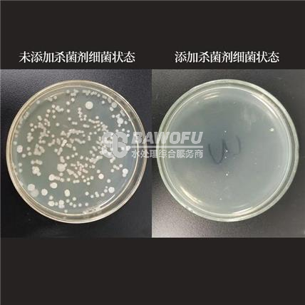 反滲透殺菌劑是非氧化性殺菌劑嗎？